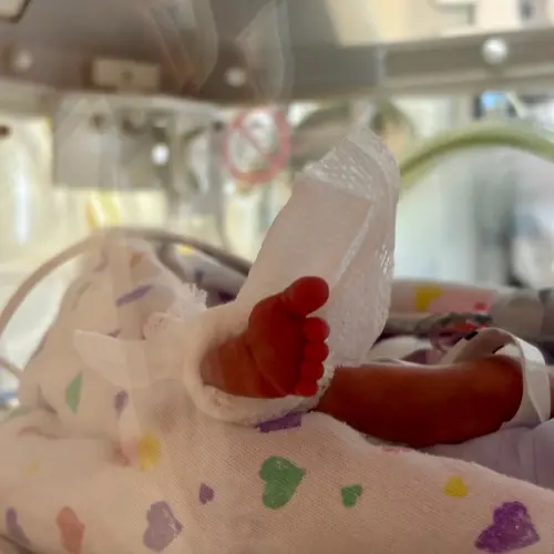 Arabella&rsquo;s Story